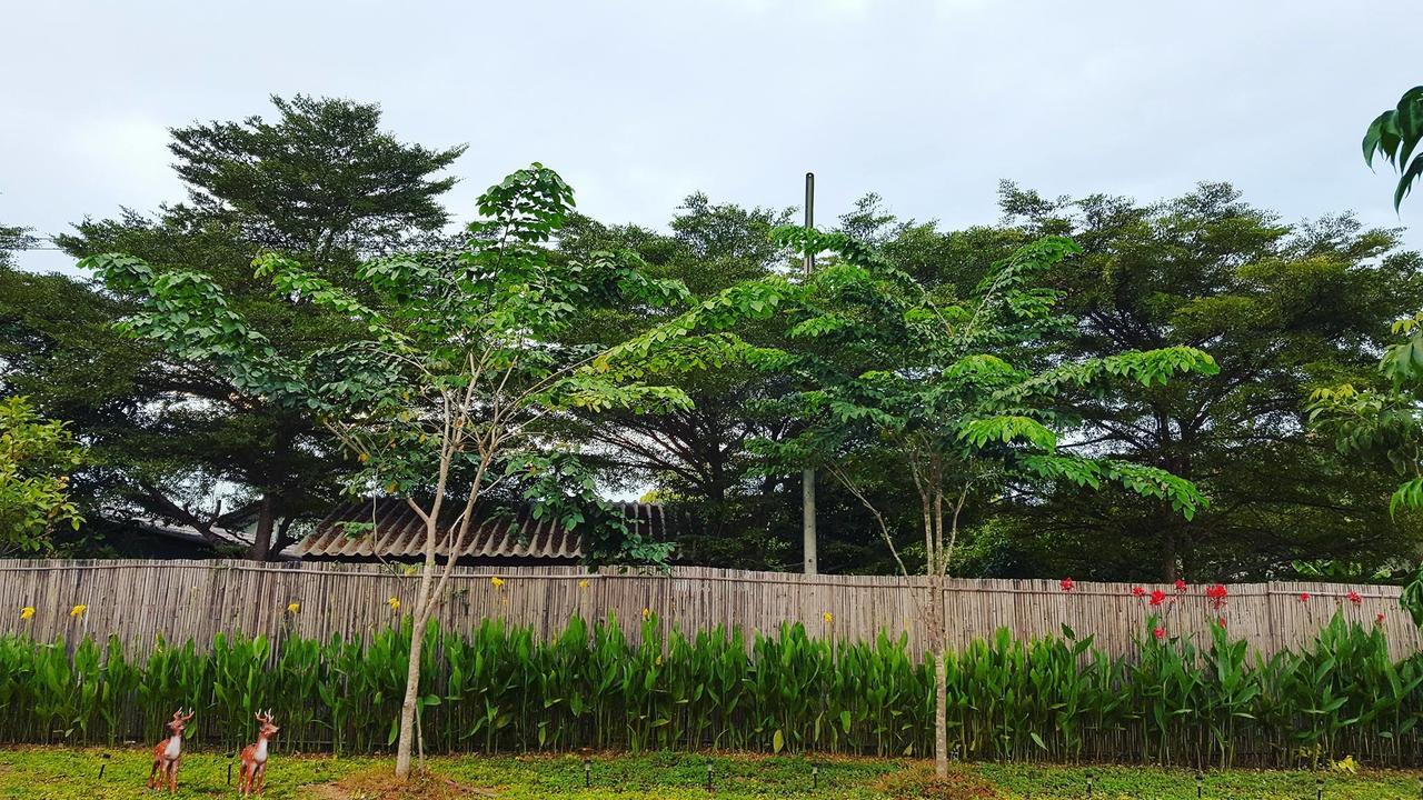 บ้านสวนมีดี ลำพูน Meedee Homestay Lamphun Ban Nong Pla Kho Luaran gambar